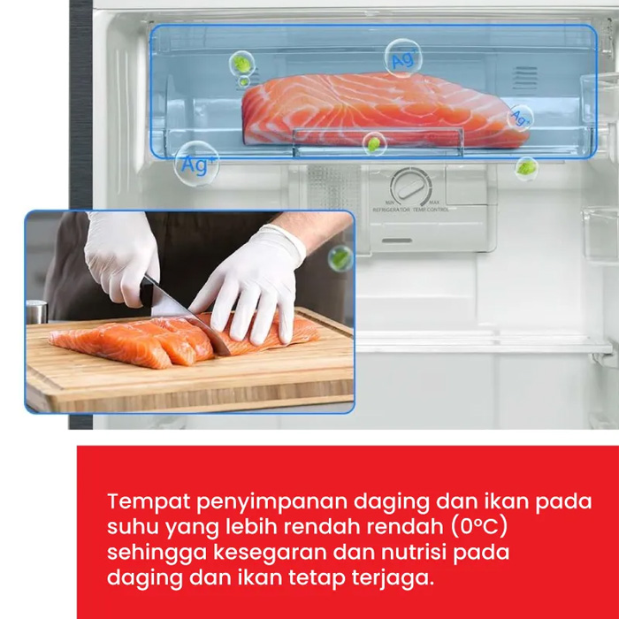 Toshiba Kulkas 2 Pintu Anti Bakteri Non Inverter 180 L - GR-B22-ISP | GRB22ISP